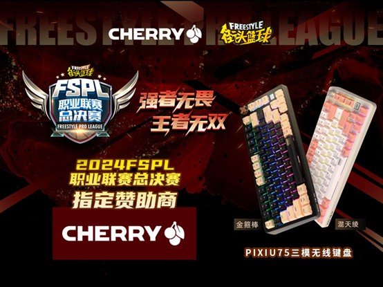 赞助2024FSPL职业联赛总决赛ky开元棋牌王者无双 CHERRY(图4)